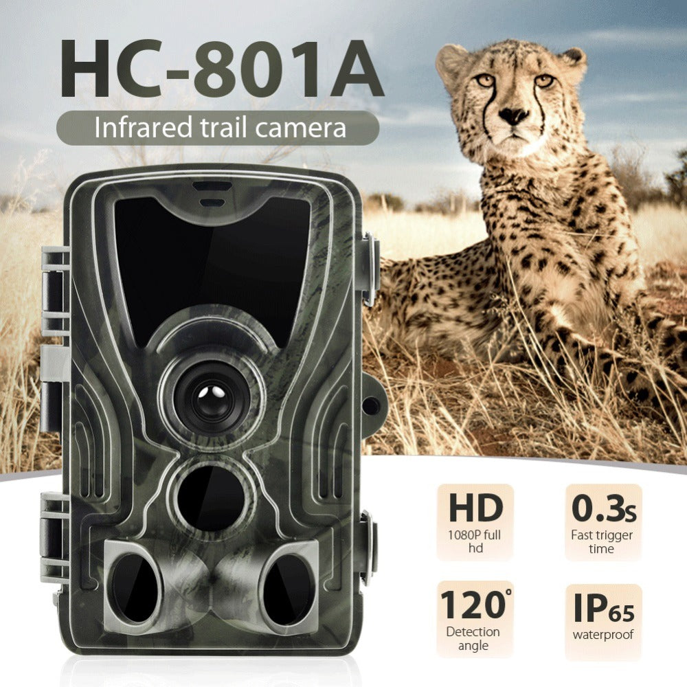 Unlock the Secrets of the Wild with the HC801A Trail Camera